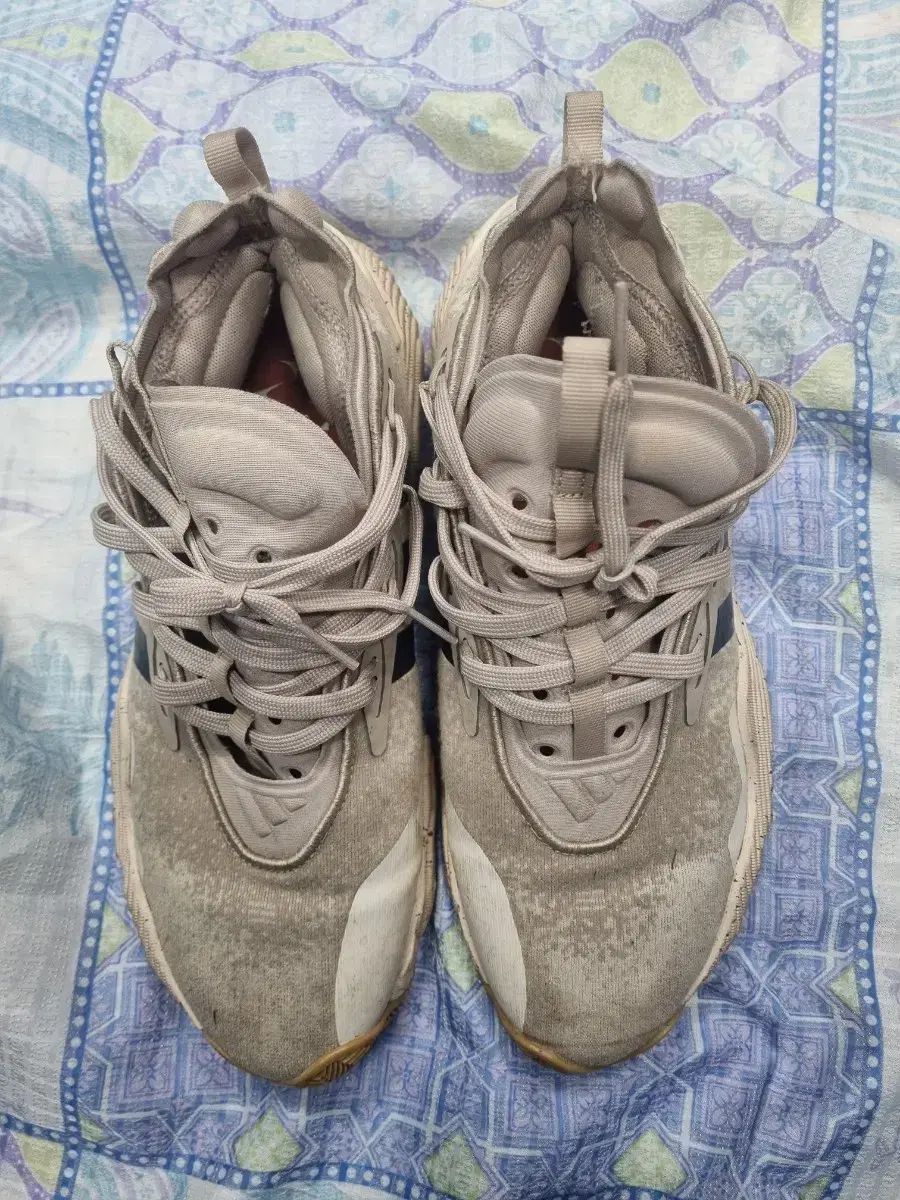 265 adidas(アディダス) トレヤング 3 バスケットシューズ