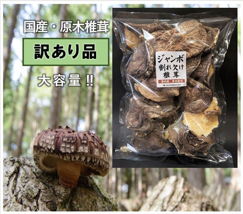 大分県産原木干し椎茸（訳あり家庭用しいたけお徳用）200g - 干し椎茸