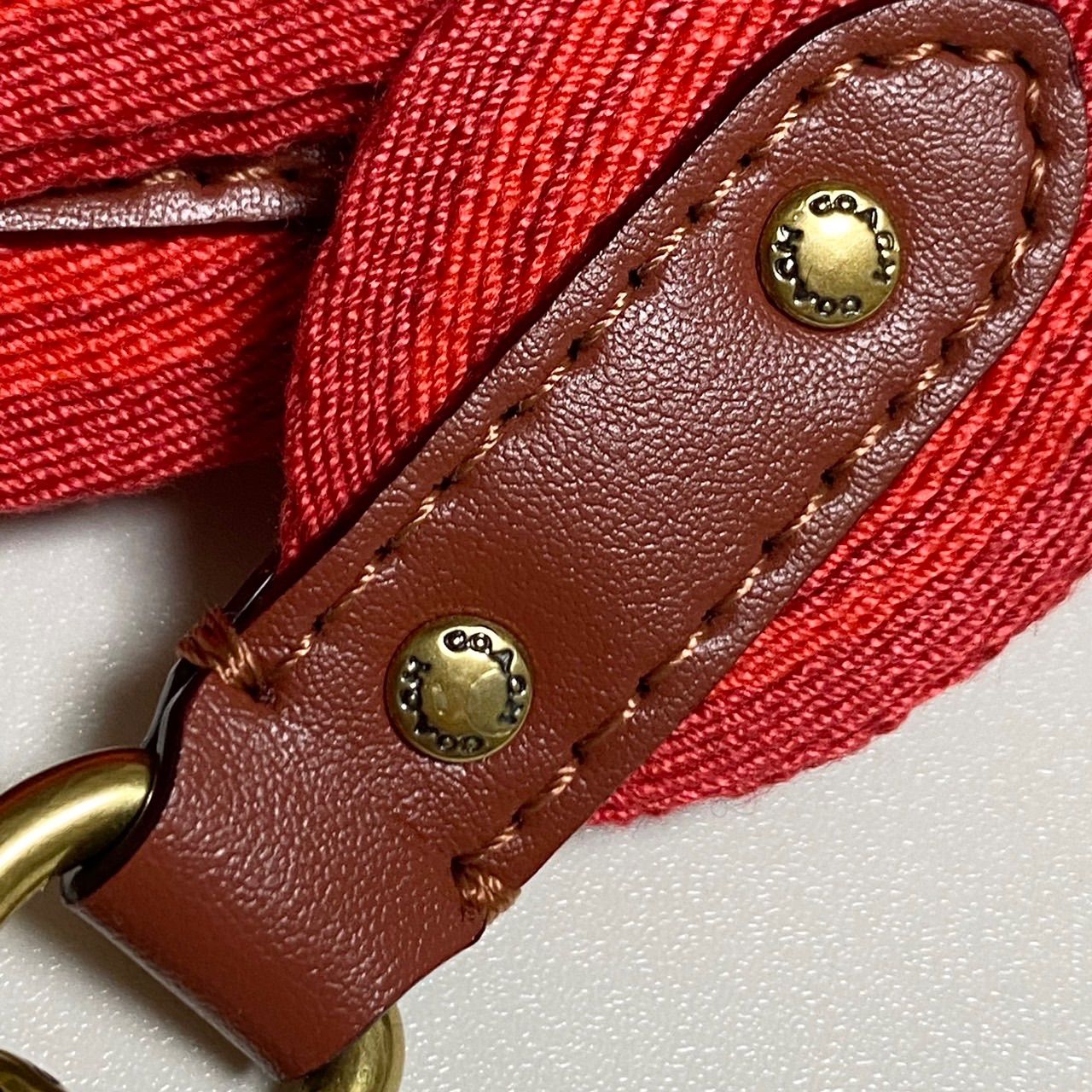 ミニの通販 COACH コーチ ショルダー バッグ 恐竜 レキシー フィールド