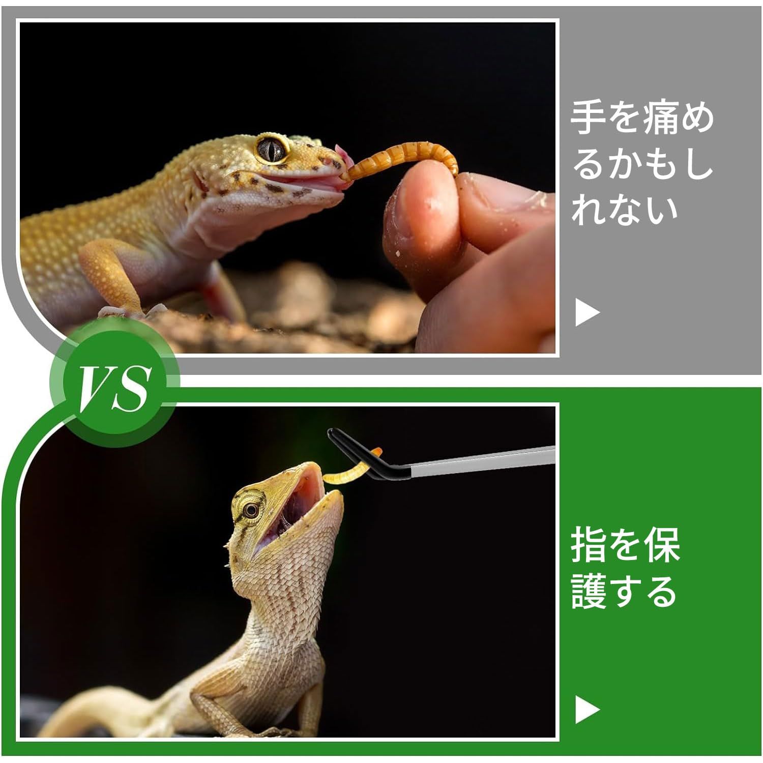 爬虫類・両生類のエサ ADL100 両生類・爬虫類用飼料（餌・エサ）＜トカゲ,イモリ,レオパ