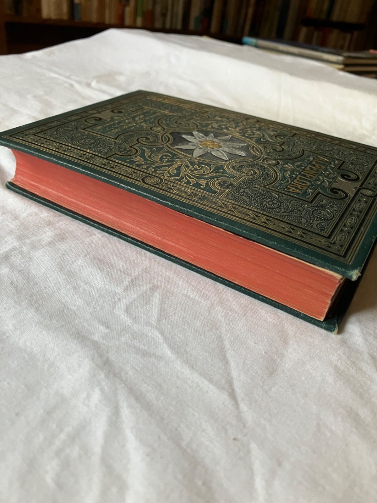 アンティーク 植物図鑑