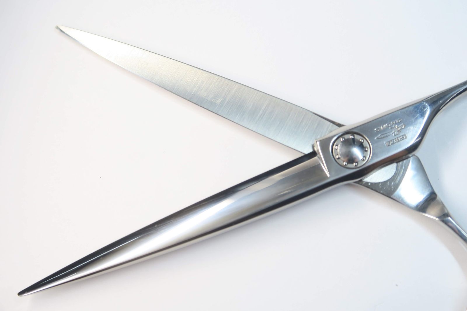 SCISSORS ミズタニシザーズ