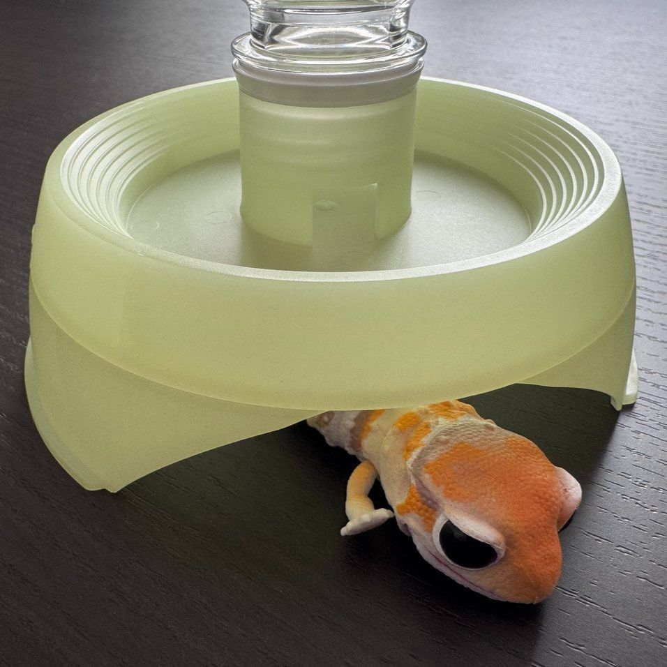 夜光タイプ】 とかげのいえS 爬虫類 シェルター 蓄光 隠れ家 水入れ