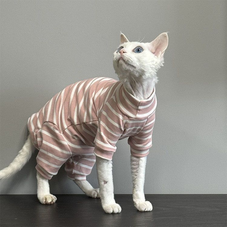 スフィンクス猫 キャットウエア 猫服 長袖 柔らかい 肌着 ストライプ セーター パーカー 春夏秋 コニス無毛の猫 着脱簡単 アウトドア ペットバッグ ペットウエア xzdscvv