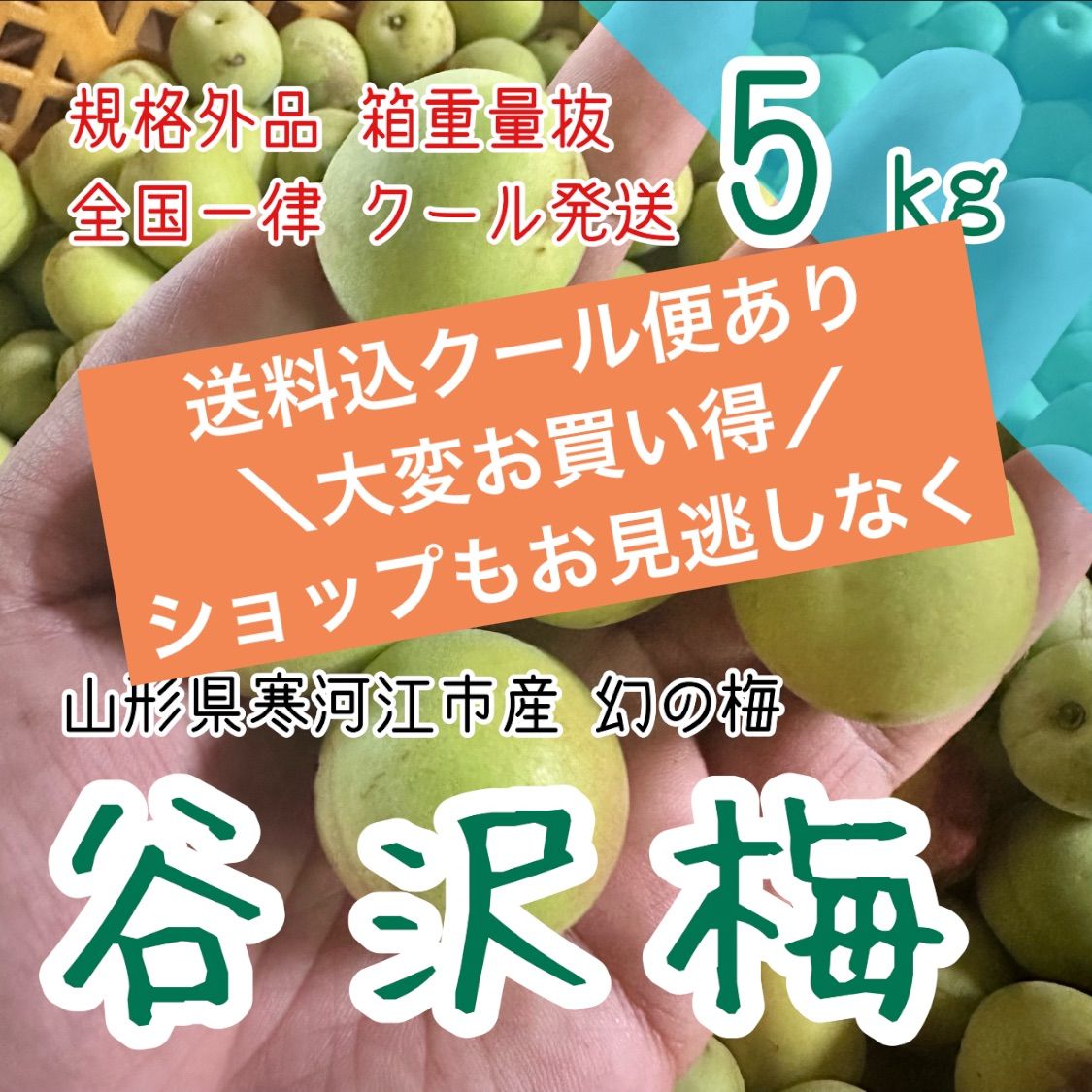 5kg・隣県限定 常温】山形県産 谷沢梅 完熟 中熟 梅ジャム