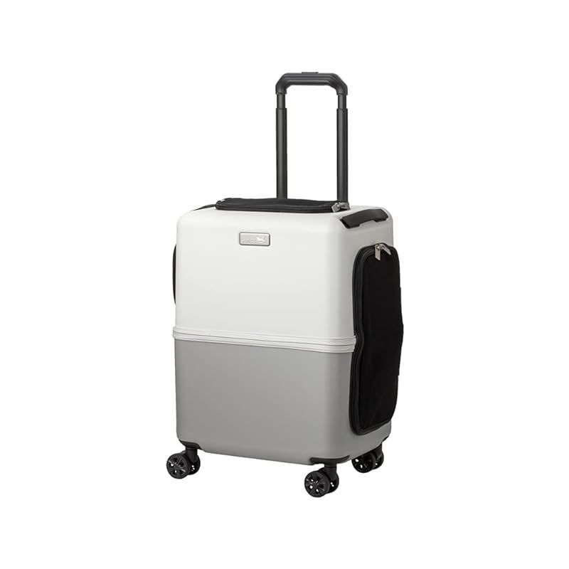 Final A3000 & 4 4mmシルバーコートケーブル【ケース付き】 Final