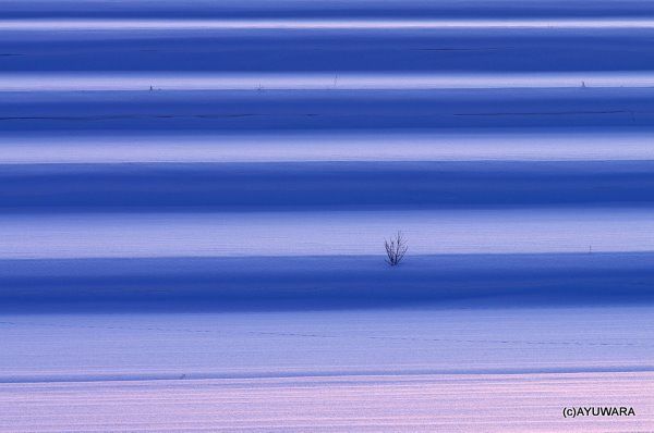 高橋真澄 インテリア