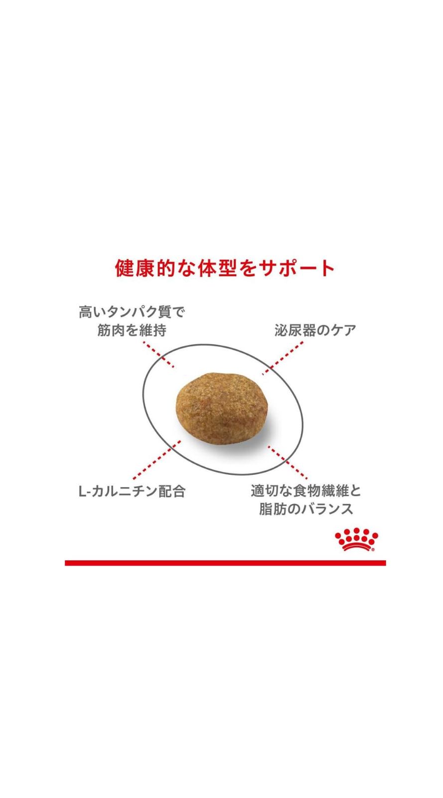 避妊