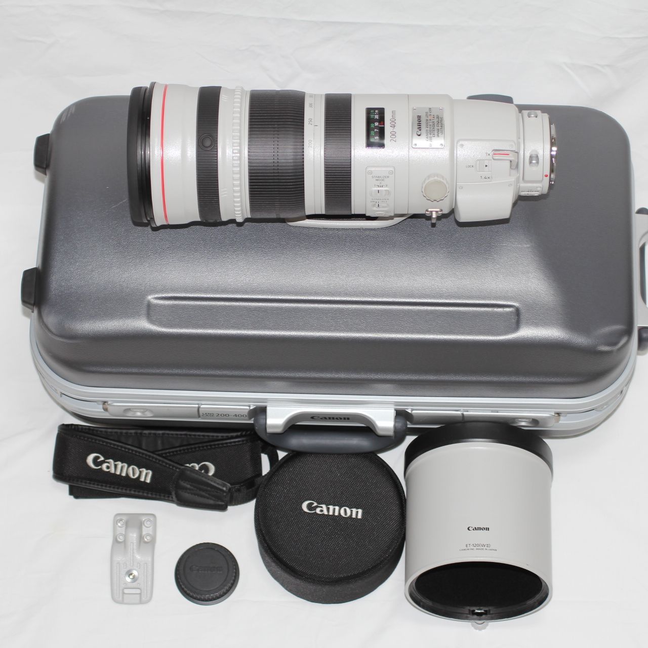 Canon EF200-400mm F4 L IS USM EXTENDER1.4×