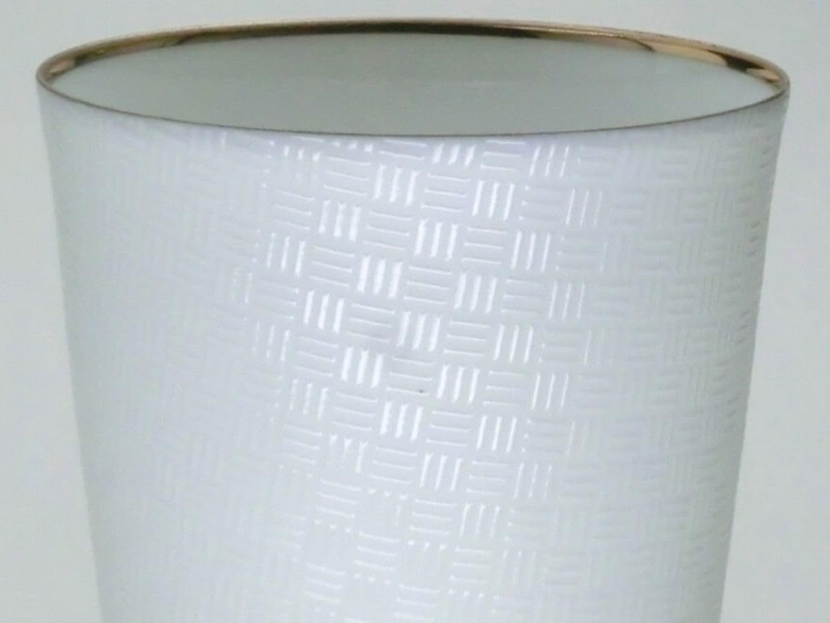 ★特大★ アンスリウム　ミシェル　anthurium タグ付き　30cmクラス ☆特大☆ アンスリウム ミシェル anthurium タグ付き 30cmクラス