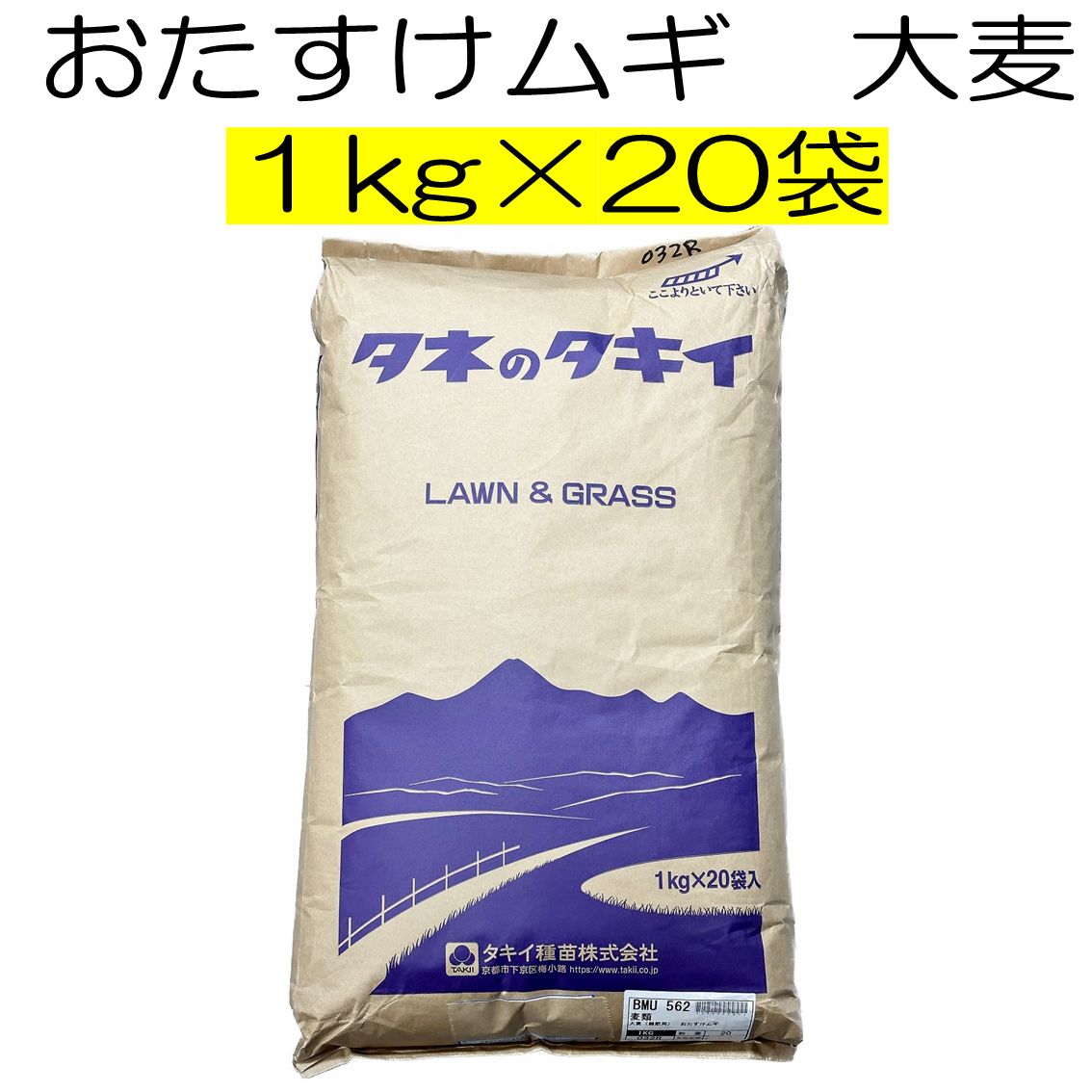 おたすけムギ 大麦 緑肥用 20kg 種 タキイ種苗 緑肥の種