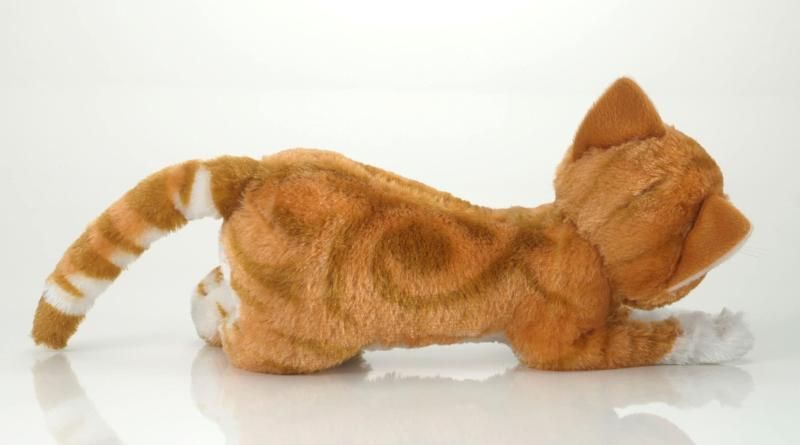 トレンドマスター なでなでねこちゃんDX2 とらちゃん 1個 トレンドマスター なでなでねこちゃんDX2 とらちゃん 1個