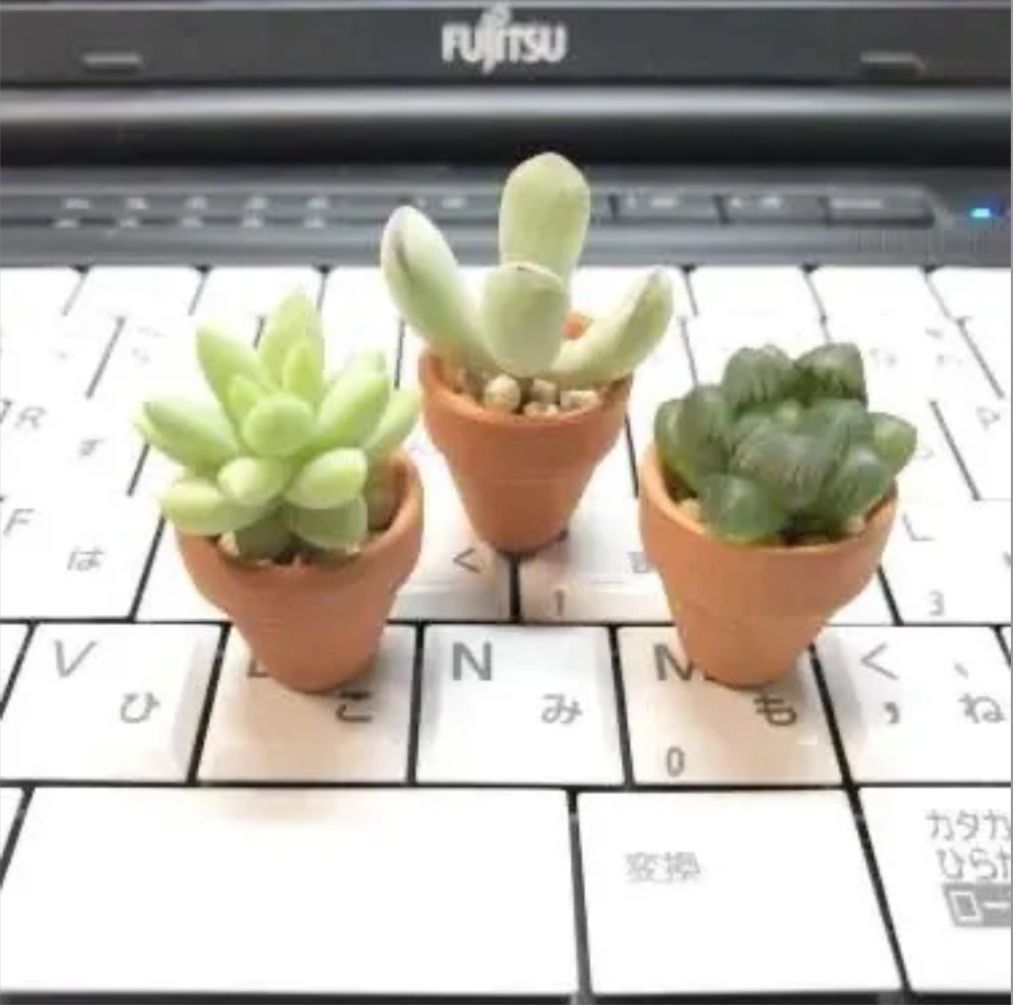 超ミニミニ豆テラコッタ鉢-0.7号(外径φ2.1×高さ2cm素焼き鉢風