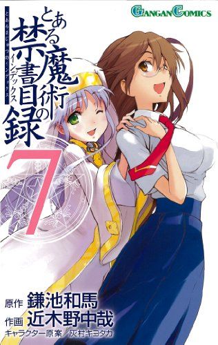 未開封】鎌池和馬：とある魔術の禁書目録 第7巻 特製Wスイング付き限定版