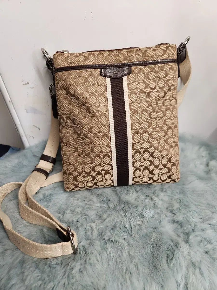 Coach 共有 クロスボディバッグ
