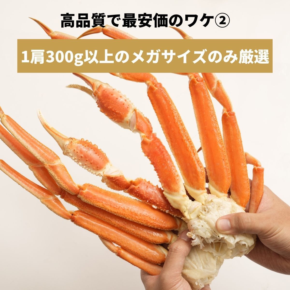 5-7肩|4-5人前 ズワイガニ