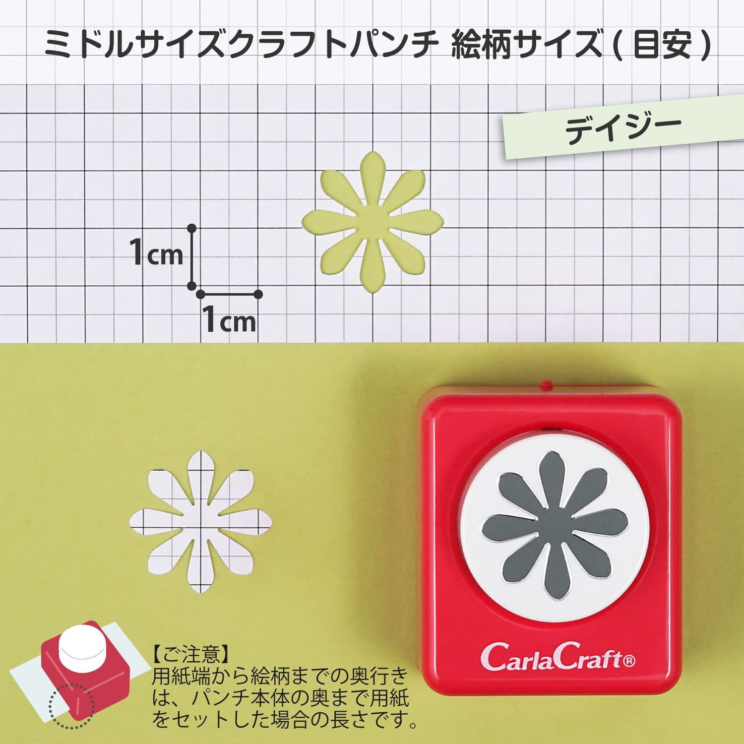 ミドルサイズ