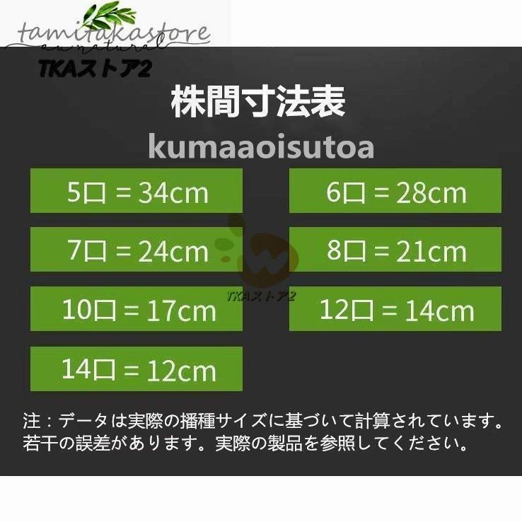 コウリャン 玉ねぎ