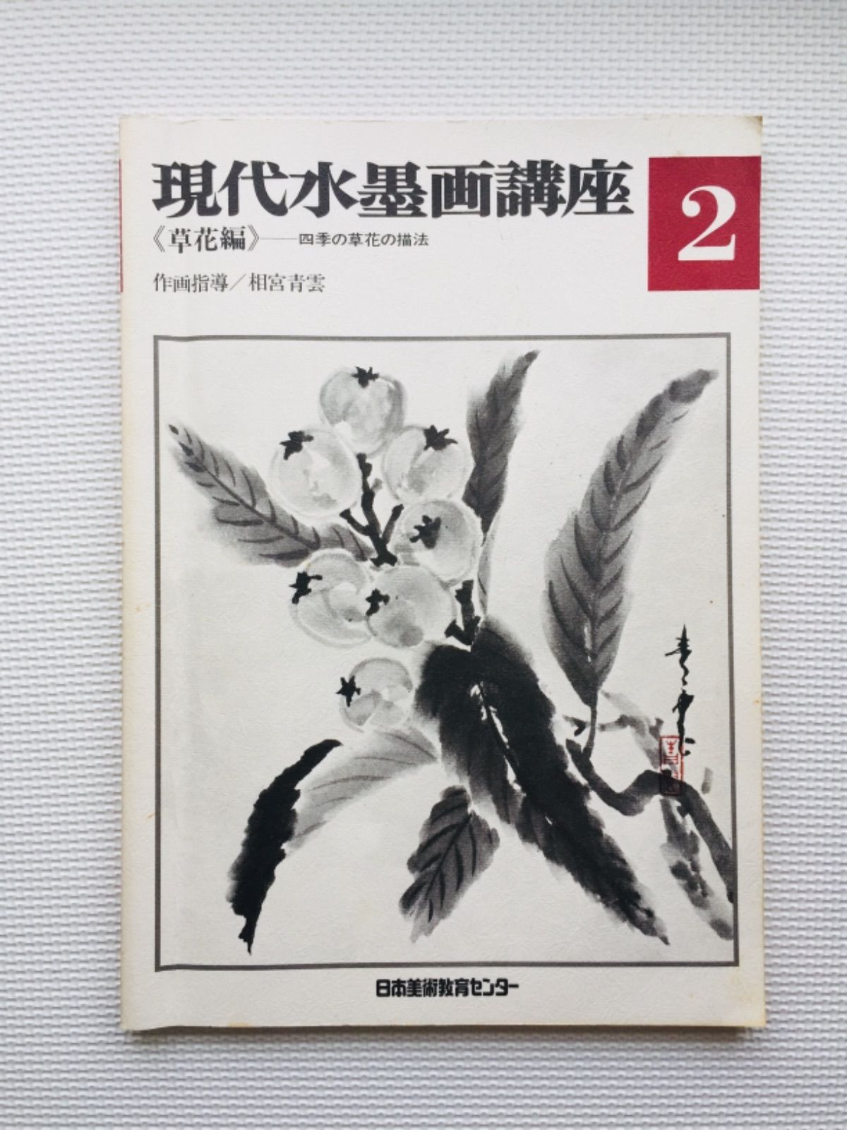 セール祭り✨現代水墨画講座《5巻全揃い》作画指導/相宮青雲 - メルカリ