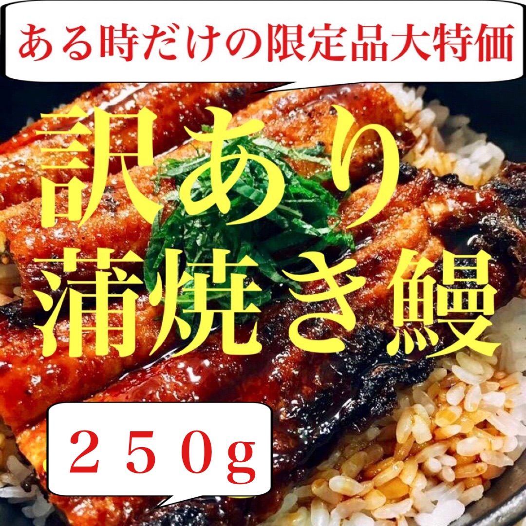 訳あり蒲焼き鰻 250g（愛知県産）-0