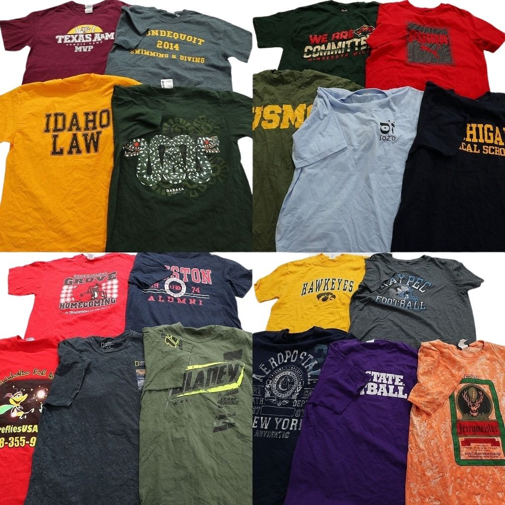 古着卸 mix プリント 半袖Tシャツ 19枚セット メンズ M 英文字プリント ワンポイント 無地 古着 NA1762