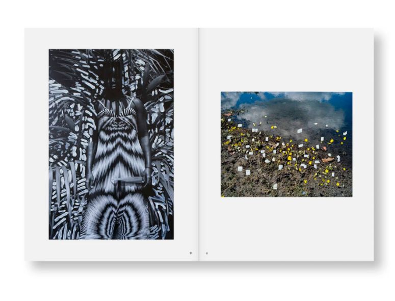 PHOSPHOR by Viviane Sassen ヴィヴィアンサッセン 写真集 □送料込み
