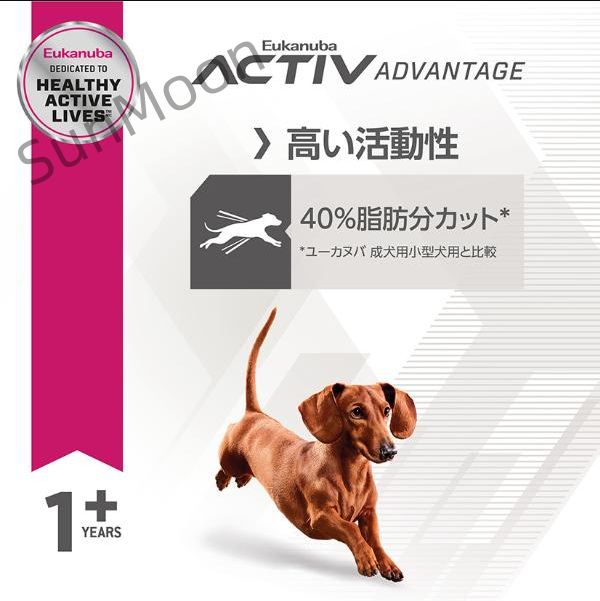 フィットボディ
