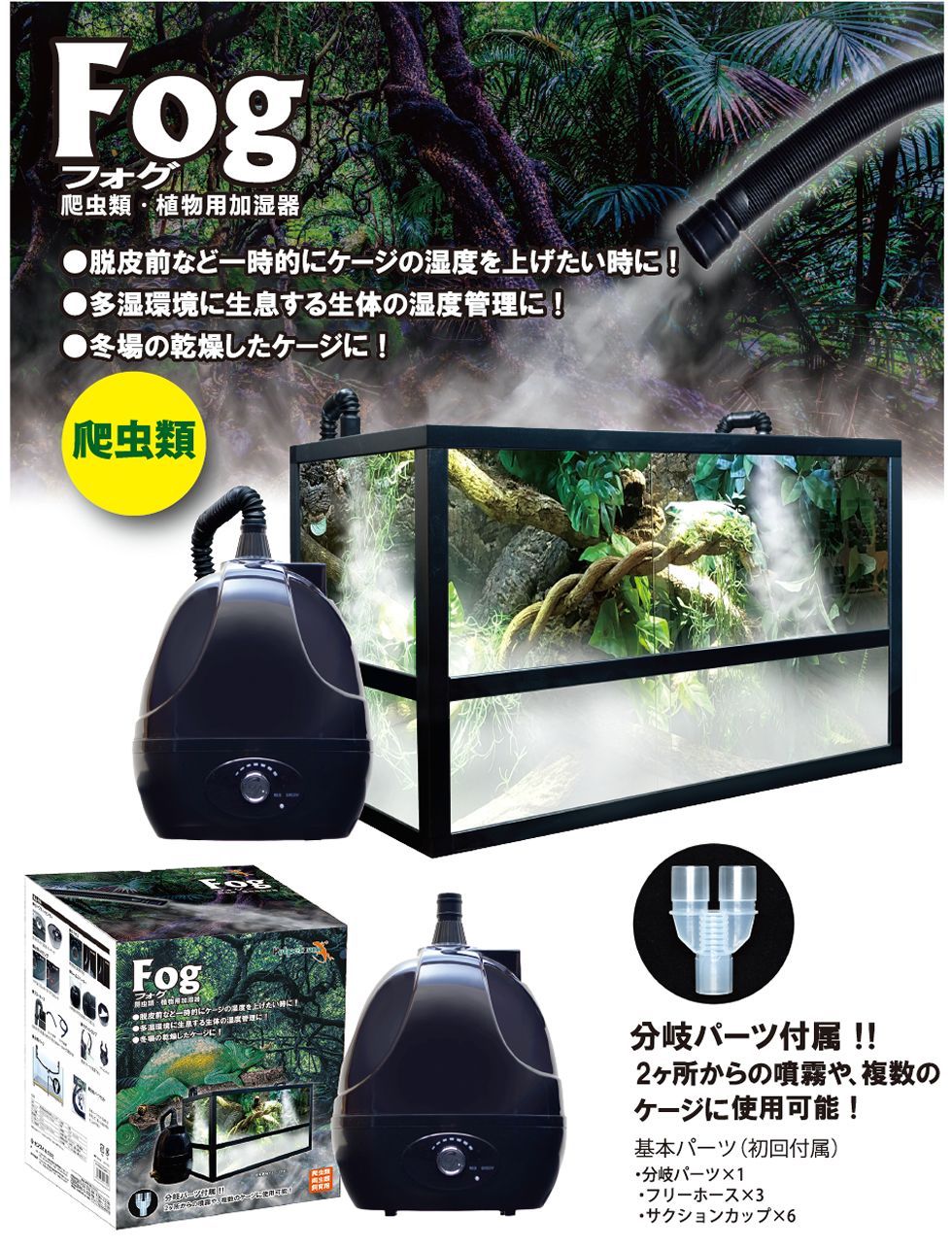 ゼンスイ