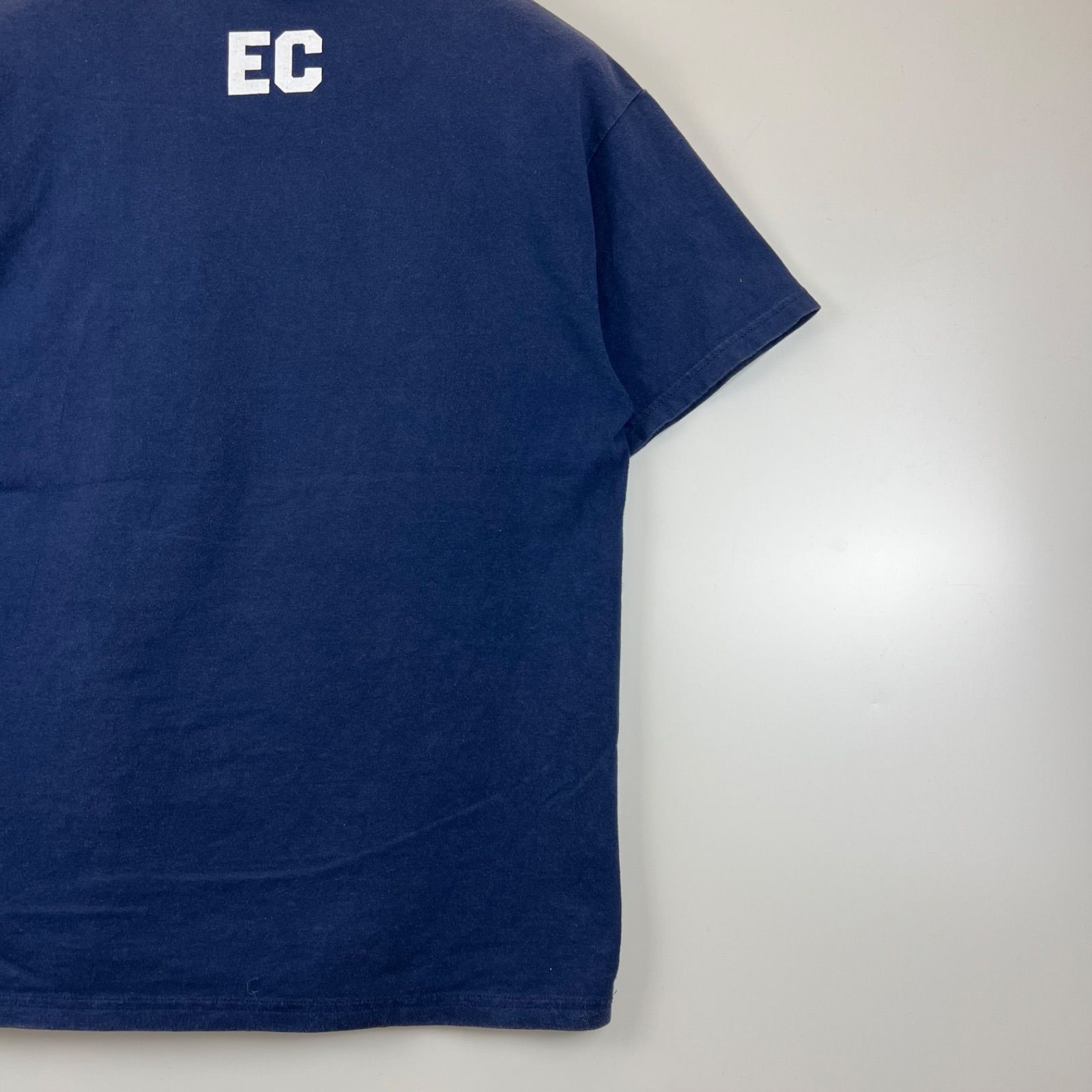 GOODENOUGH 90s 1998 archive ELECTRIC COTTAGE ROCK Tee Hanes M 