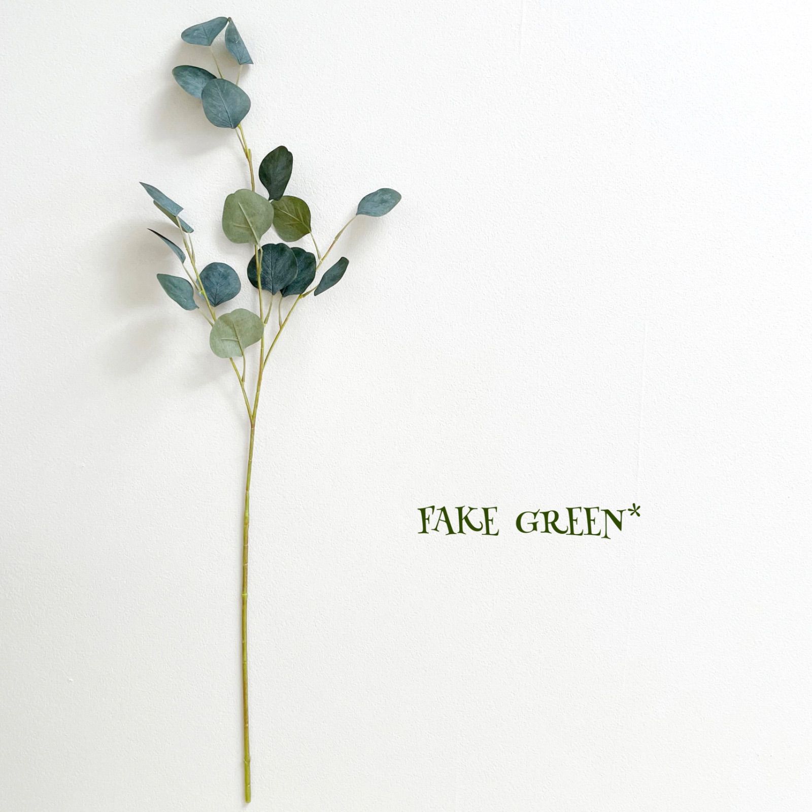 人気の福袋 激安 新作 新品 未使用 フェイクグリーン 丸葉ユーカリ 2本 植物 観葉植物 Www Sundiscountpharmacy Com Www Sundiscountpharmacy Com 人気の福袋 激安 新作 新品 未使用 フェイクグリーン 丸葉ユーカリ 2本 植物 観葉植物 Www Sundiscountpharmacy Com Www Sundiscountpharmacy Com