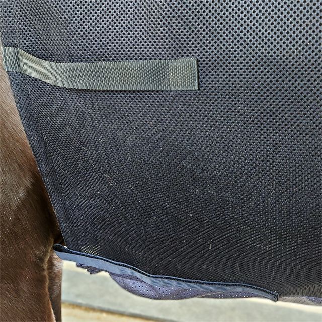 フライアーマースパーガードハード 乗馬用ボディバンテージ
