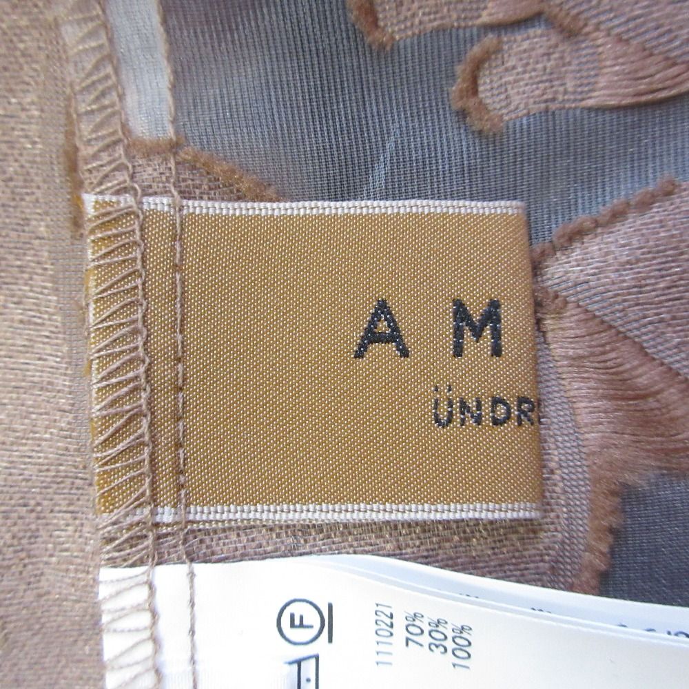 AMERI