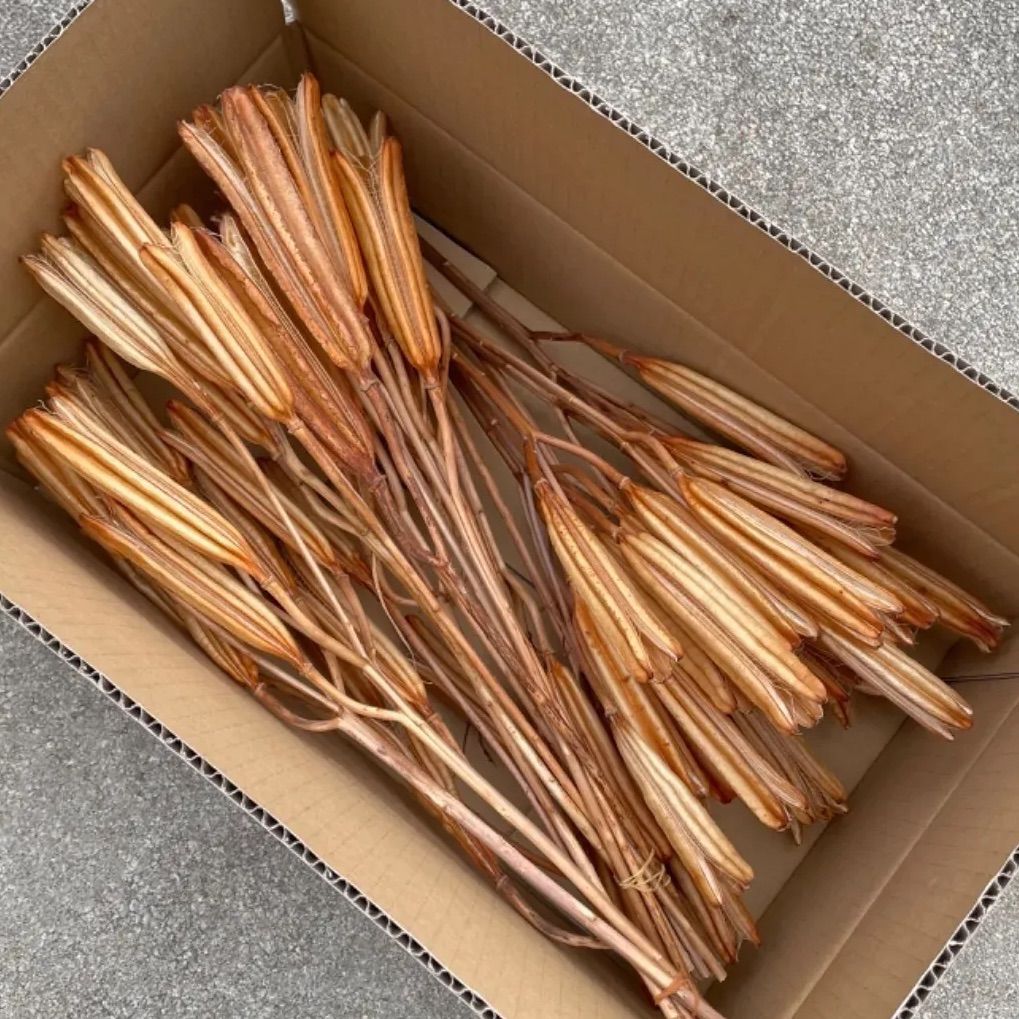 ❇️ドライフラワー ユリの花殻❣️ ❇️ドライフラワー ユリの花殻❣️ ゆりの花殻 ユリの花殻 ドライ