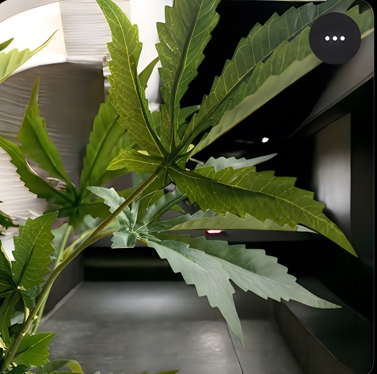  光触媒 フェイクグリーン マリファナ 人工観葉植物 大造花 草 CBD 804 その他 おもちゃ