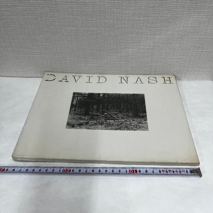 DAVID NASH 樹のいのち 樹のかたち デイヴィッド・ナッシュ 1984