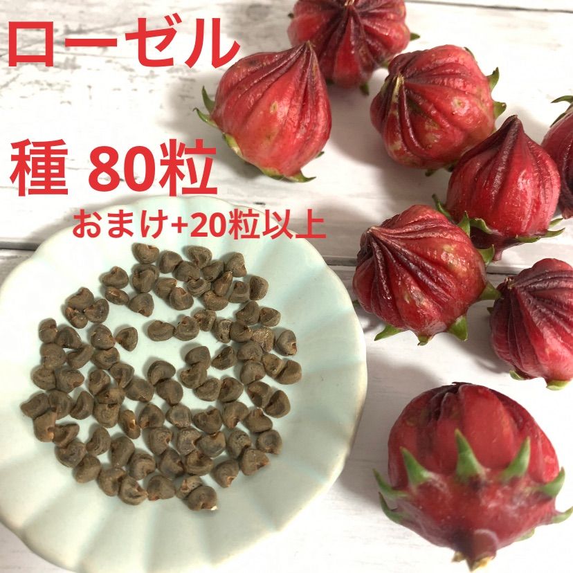 ジューンベリー　種３０粒とオマケの種 ジューンベリー種30粒とオマケの種