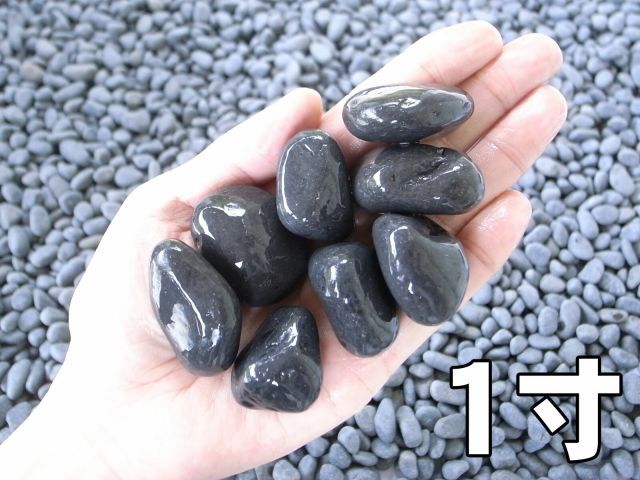 明るい庭