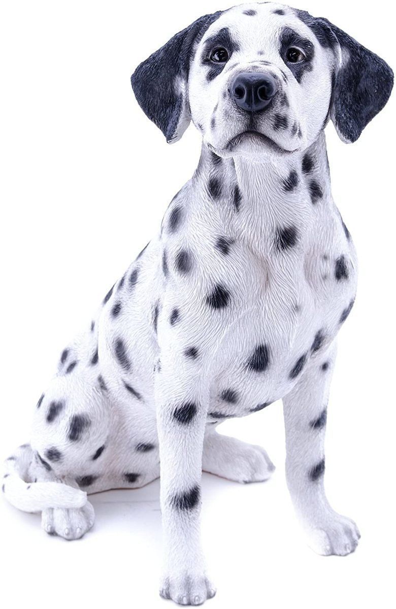 根付 49 霊芝 黄陽根 骨董品 【公式通販】