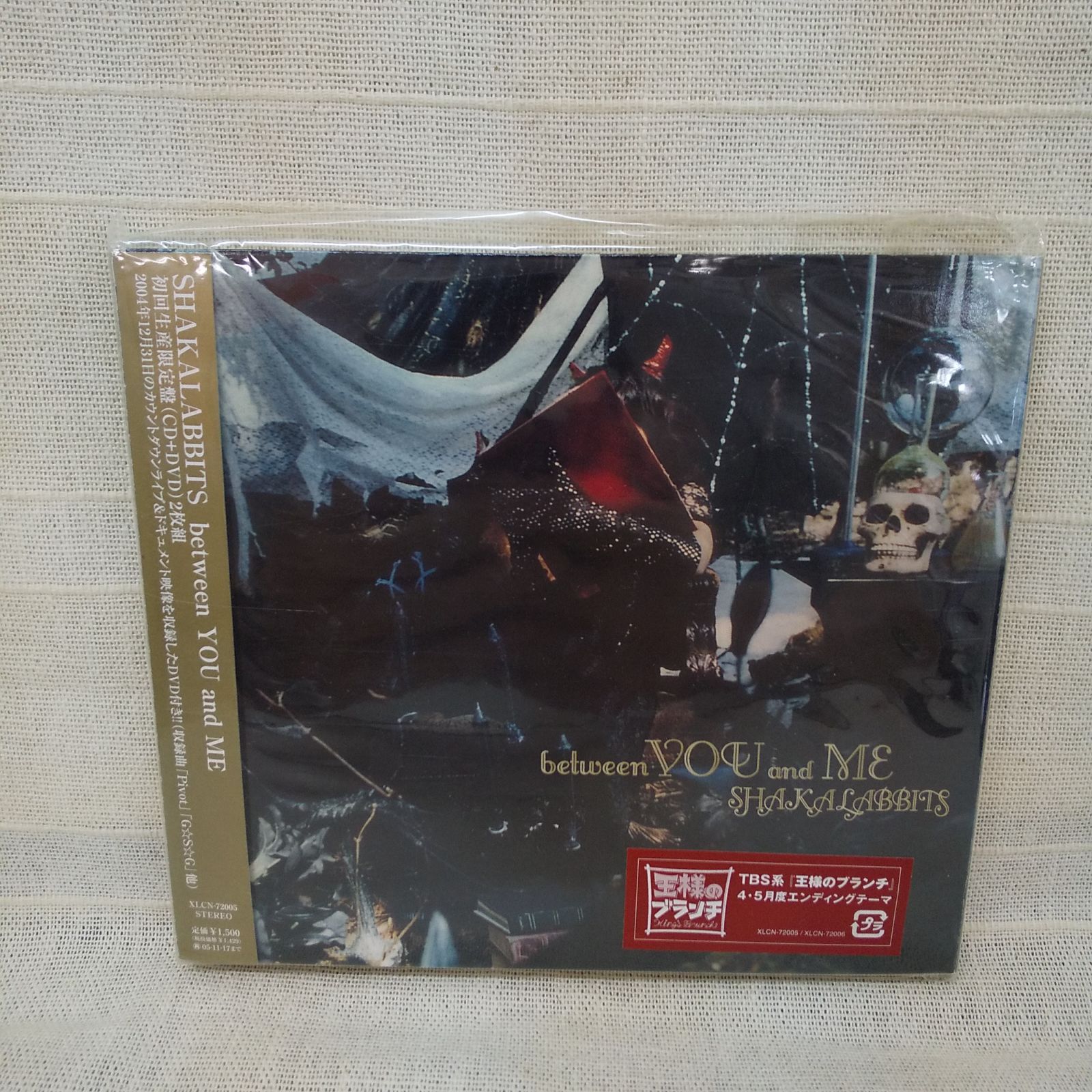 SHAKALABBITS between YOU and ME レンタル落ち 中古 CD+DVD