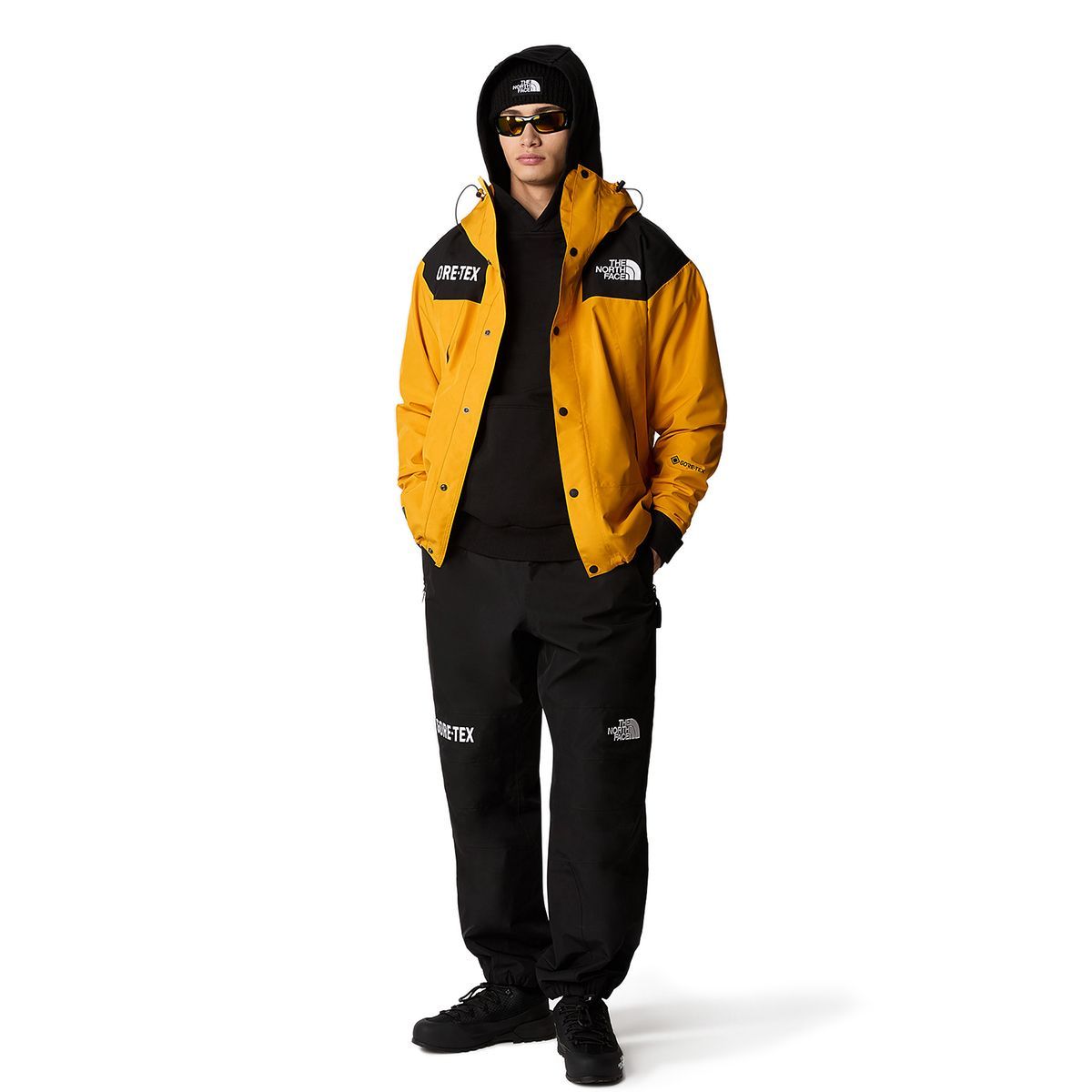 THE NORTH FACE ザ ノースフェイス GTX MOUNTAIN JACKET マウンテン ...