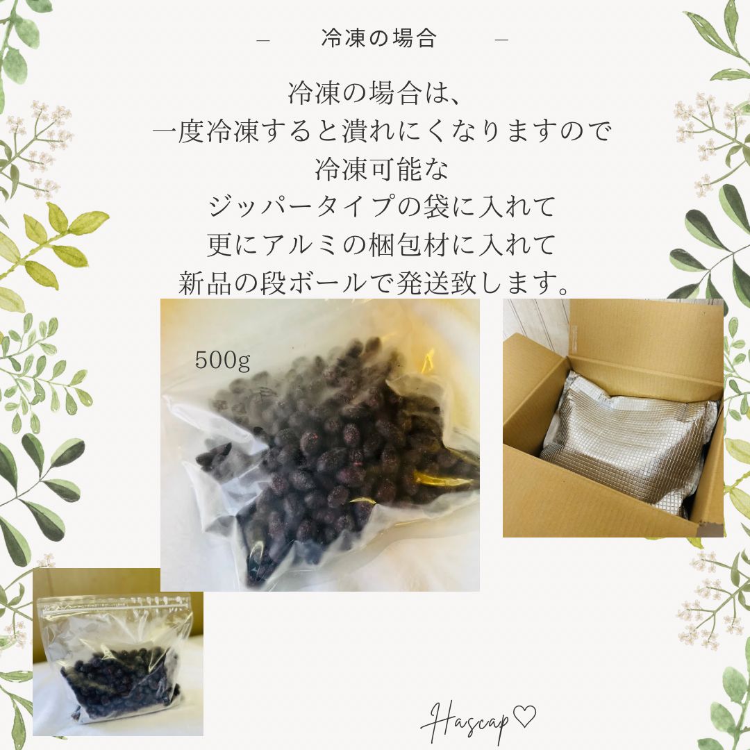 北海道産ハスカップ 500g【2025年産】冷凍 - メルカリ