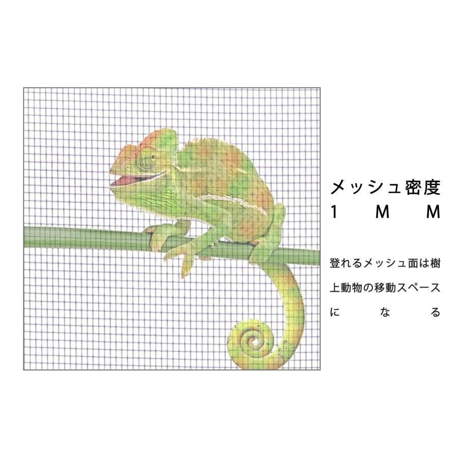 耐久性パノラマ虫かご 換気良好飼育室