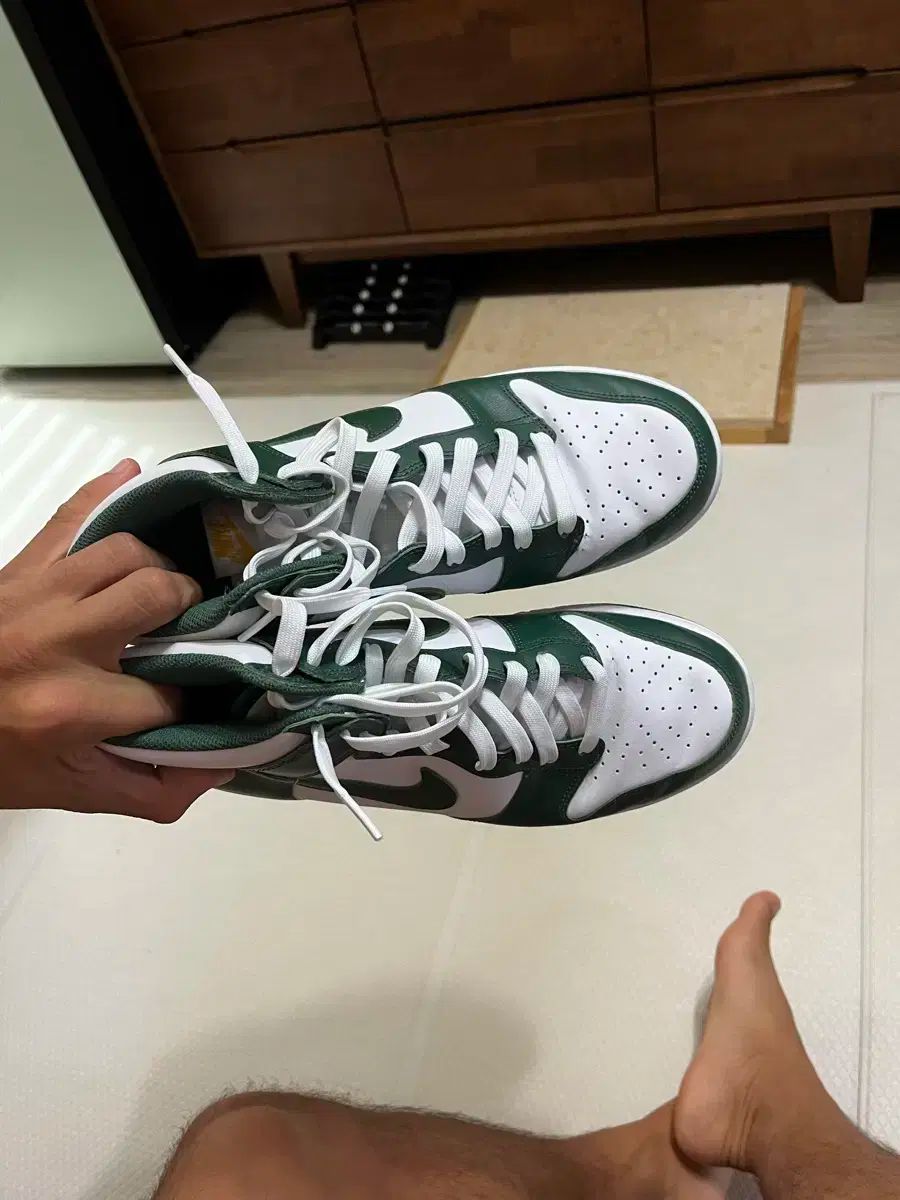 NIKE ナイキ ダンク ハイ レトロ ノーブル グリーン 270