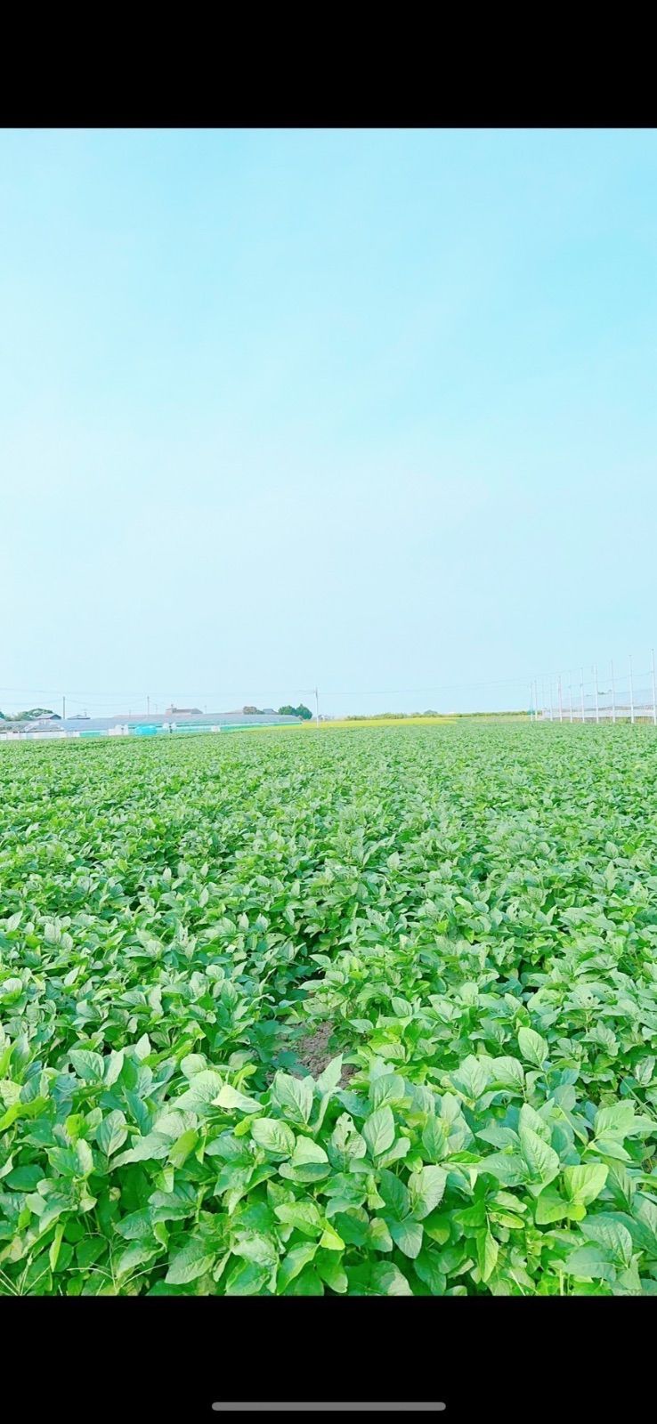 ✳️大豆10キロ10kg