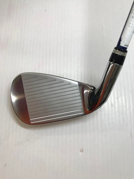 南日本の民俗文化: 南日本の民俗文化: 小野重朗著作集 (5) (南日本の