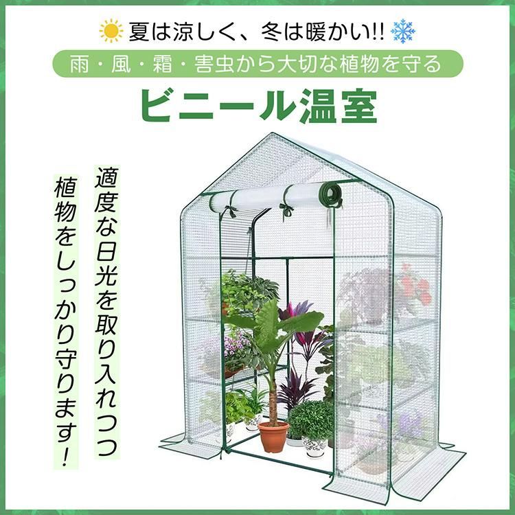 多肉植物
