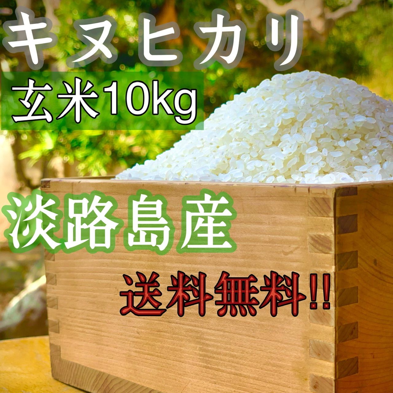 30kg新米 令和5年 産 キヌヒカリ  玄米30キロ 淡路島 精米小分け可　　30kg