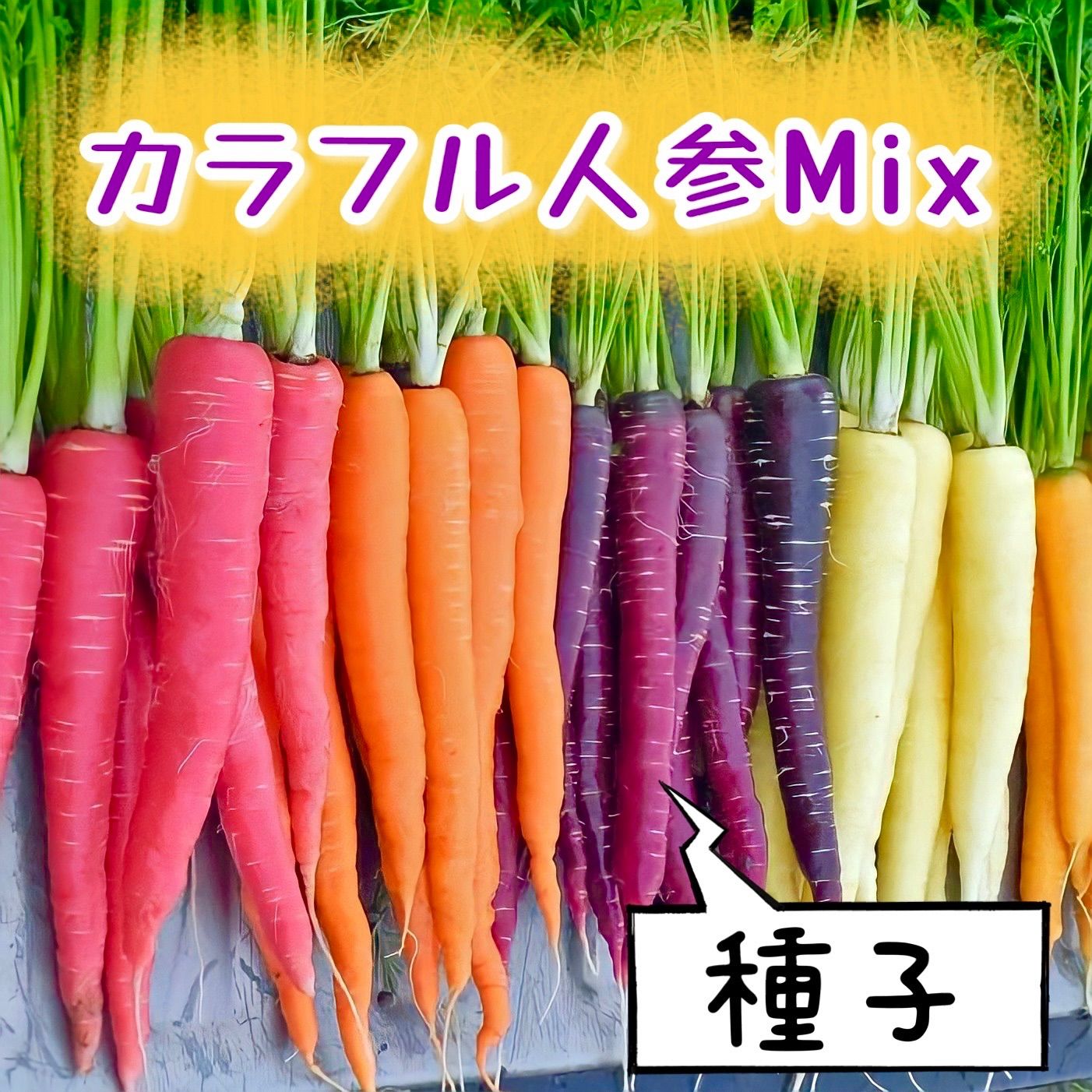 未使用品 オレンジ 黄色 紫 3色MIXニンジンの種野菜種 30個 gpstiger.com