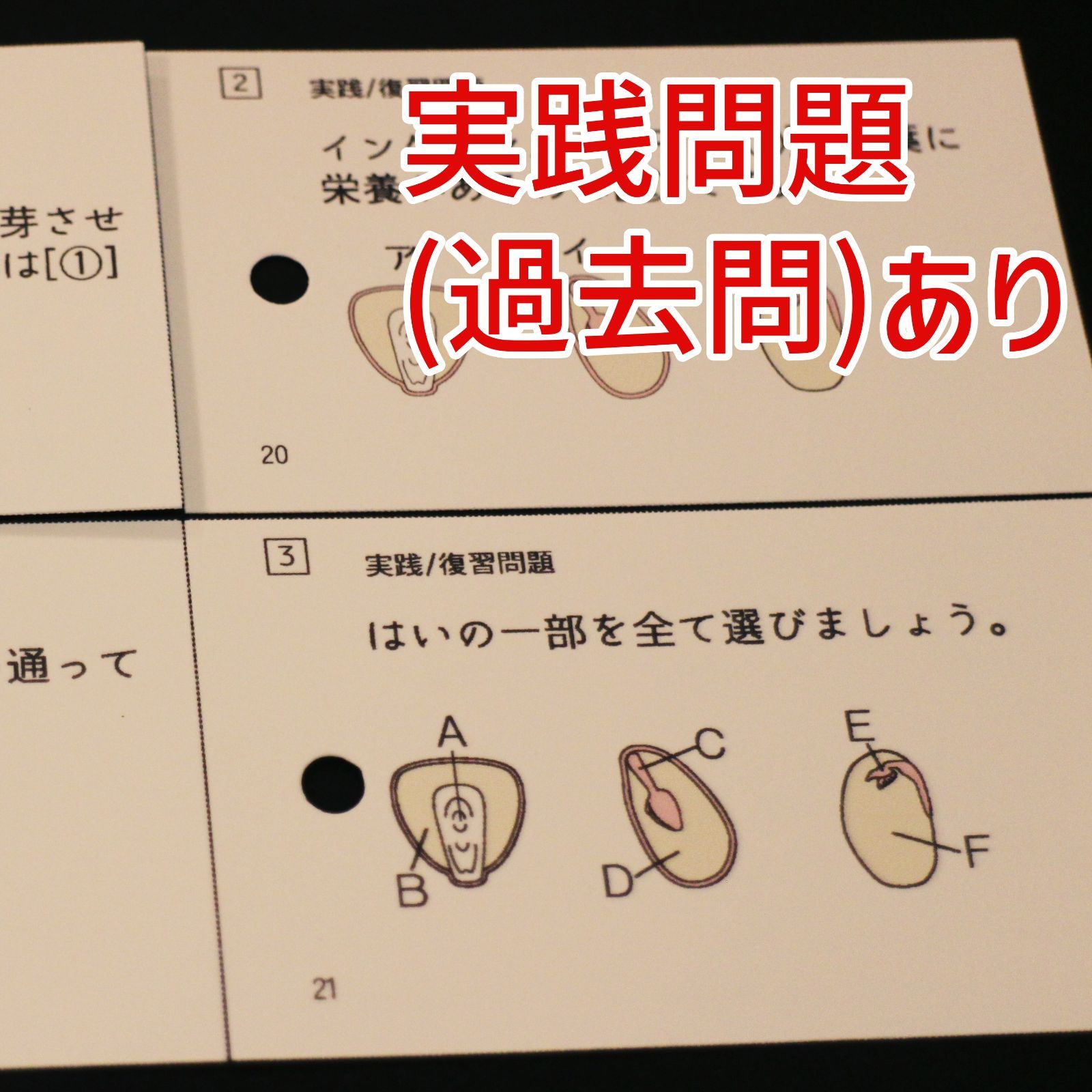 中学受験 生物マスター マスターシリーズ② 暗記カード - メルカリ