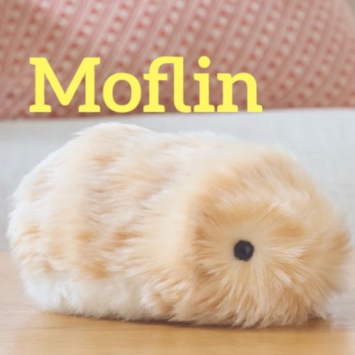 新品未開封】Moflin モフリン カシオ ゴールドAIペット型ロボット